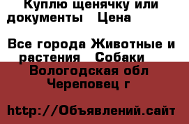 Куплю щенячку или документы › Цена ­ 3 000 - Все города Животные и растения » Собаки   . Вологодская обл.,Череповец г.